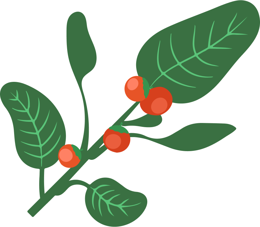 Organic Ashwagandha